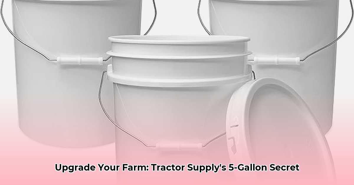tractor-supply-5-gallon-buckets